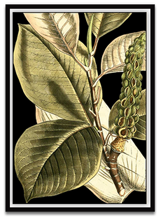 Shop Art \ Shop Artwork \ Shop Tropical Art \ Shop Wall Art \ Shop Tropical Art Prints \ Shop Framed Artwork \ Shop Painting \ Shop Tropical Paintings \ Shop Wall Decor \ Shop Decorative Art \ Nature Art Prints \ Multicolor Wall Art \ Colorful Artwork \ Floral Art