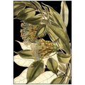 Tranquil Tropical Leaves VI