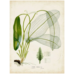 Shop Art \ Shop Artwork \ Shop Tropical Art \ Shop Wall Art \ Shop Tropical Art Prints \ Shop Framed Artwork \ Shop Painting \ Shop Tropical Paintings \ Shop Wall Decor \ Shop Decorative Art \ Nature Art Prints \ Multicolor Wall Art \ Colorful Artwork