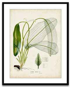 Shop Art \ Shop Artwork \ Shop Tropical Art \ Shop Wall Art \ Shop Tropical Art Prints \ Shop Framed Artwork \ Shop Painting \ Shop Tropical Paintings \ Shop Wall Decor \ Shop Decorative Art \ Nature Art Prints \ Multicolor Wall Art \ Colorful Artwork
