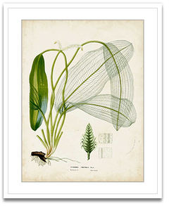 Shop Art \ Shop Artwork \ Shop Tropical Art \ Shop Wall Art \ Shop Tropical Art Prints \ Shop Framed Artwork \ Shop Painting \ Shop Tropical Paintings \ Shop Wall Decor \ Shop Decorative Art \ Nature Art Prints \ Multicolor Wall Art \ Colorful Artwork