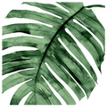 Tropical Green Palm II