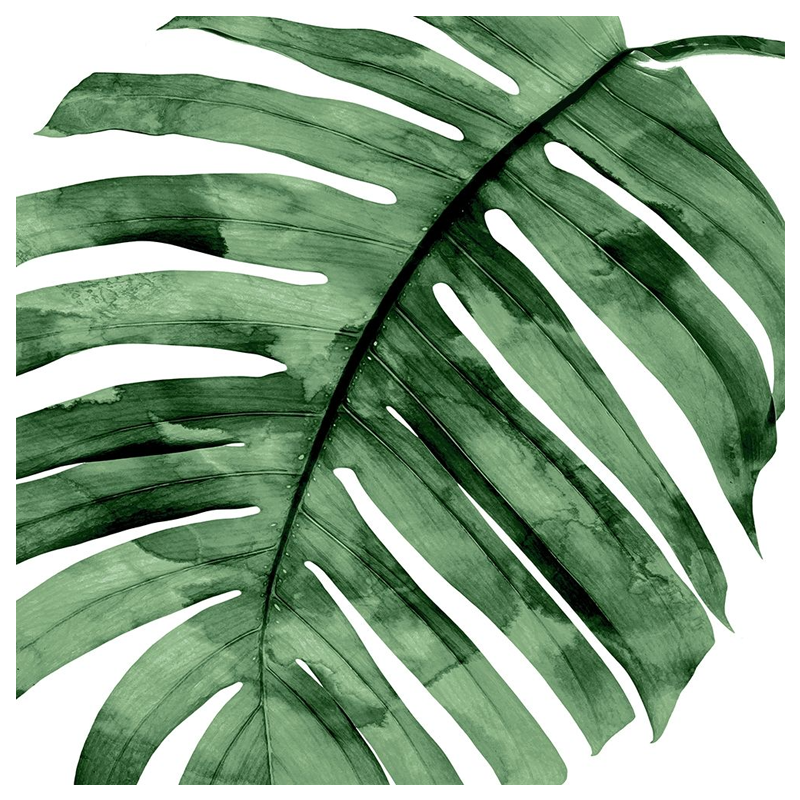Shop Art \ Shop Artwork \ Shop Tropical Art \ Shop Wall Art \ Shop Tropical Art Prints \ Shop Framed Artwork \ Shop Painting \ Shop Tropical Paintings \ Shop Wall Decor \ Shop Decorative Art \ Nature Art Prints \ Multicolor Wall Art \ Colorful Artwork \ Floral Art