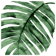 Shop Art \ Shop Artwork \ Shop Tropical Art \ Shop Wall Art \ Shop Tropical Art Prints \ Shop Framed Artwork \ Shop Painting \ Shop Tropical Paintings \ Shop Wall Decor \ Shop Decorative Art \ Nature Art Prints \ Multicolor Wall Art \ Colorful Artwork \ Floral Art