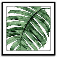 Shop Art \ Shop Artwork \ Shop Tropical Art \ Shop Wall Art \ Shop Tropical Art Prints \ Shop Framed Artwork \ Shop Painting \ Shop Tropical Paintings \ Shop Wall Decor \ Shop Decorative Art \ Nature Art Prints \ Multicolor Wall Art \ Colorful Artwork \ Floral Art