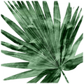 Tropical Green Palm IV