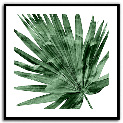 Shop Art \ Shop Artwork \ Shop Tropical Art \ Shop Wall Art \ Shop Tropical Art Prints \ Shop Framed Artwork \ Shop Painting \ Shop Tropical Paintings \ Shop Wall Decor \ Shop Decorative Art \ Nature Art Prints \ Multicolor Wall Art \ Colorful Artwork \ Floral Art