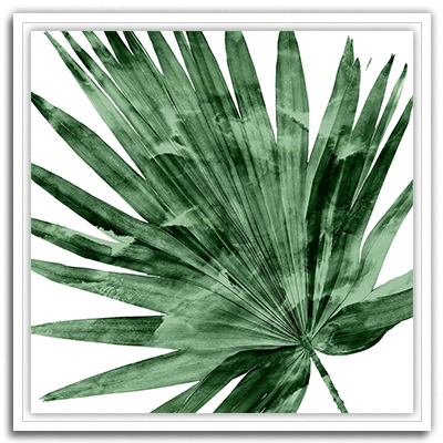 Shop Art \ Shop Artwork \ Shop Tropical Art \ Shop Wall Art \ Shop Tropical Art Prints \ Shop Framed Artwork \ Shop Painting \ Shop Tropical Paintings \ Shop Wall Decor \ Shop Decorative Art \ Nature Art Prints \ Multicolor Wall Art \ Colorful Artwork \ Floral Art