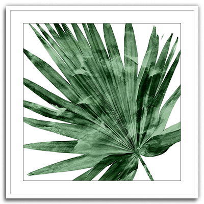 Shop Art \ Shop Artwork \ Shop Tropical Art \ Shop Wall Art \ Shop Tropical Art Prints \ Shop Framed Artwork \ Shop Painting \ Shop Tropical Paintings \ Shop Wall Decor \ Shop Decorative Art \ Nature Art Prints \ Multicolor Wall Art \ Colorful Artwork \ Floral Art