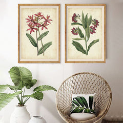 Two framed botanical art prints hanging on a wall above a white vase with a green plant, and a wicker chair with a green cushion.