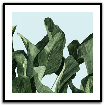 Shop Art \ Shop Artwork \ Shop Tropical Art \ Shop Wall Art \ Shop Tropical Art Prints \ Shop Framed Artwork \ Shop Painting \ Shop Tropical Paintings \ Shop Wall Decor \ Shop Decorative Art \ Nature Art Prints \ Multicolor Wall Art \ Colorful Artwork \ Floral Art