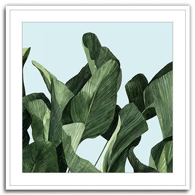 Shop Art \ Shop Artwork \ Shop Tropical Art \ Shop Wall Art \ Shop Tropical Art Prints \ Shop Framed Artwork \ Shop Painting \ Shop Tropical Paintings \ Shop Wall Decor \ Shop Decorative Art \ Nature Art Prints \ Multicolor Wall Art \ Colorful Artwork \ Floral Art