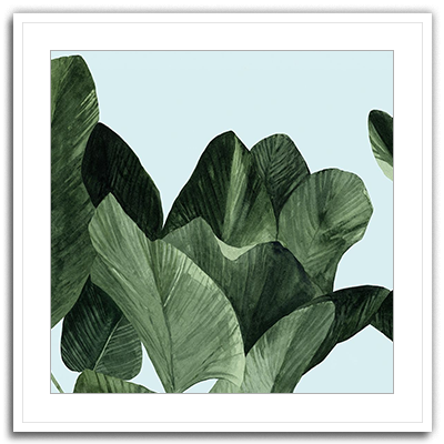 Shop Art \ Shop Artwork \ Shop Tropical Art \ Shop Wall Art \ Shop Tropical Art Prints \ Shop Framed Artwork \ Shop Painting \ Shop Tropical Paintings \ Shop Wall Decor \ Shop Decorative Art \ Nature Art Prints \ Multicolor Wall Art \ Colorful Artwork \ Floral Art