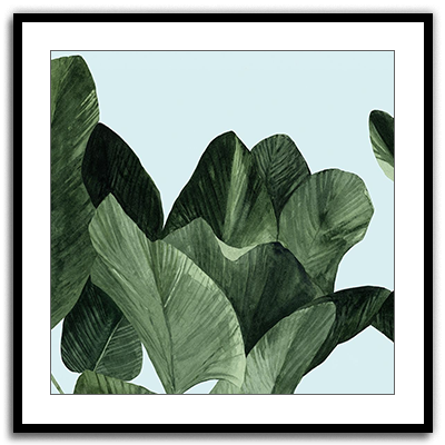 Shop Art \ Shop Artwork \ Shop Tropical Art \ Shop Wall Art \ Shop Tropical Art Prints \ Shop Framed Artwork \ Shop Painting \ Shop Tropical Paintings \ Shop Wall Decor \ Shop Decorative Art \ Nature Art Prints \ Multicolor Wall Art \ Colorful Artwork \ Floral Art