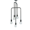 Blackbird 5 Light Chandelier