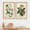 Coral Beauties Wall Art Set Pieces