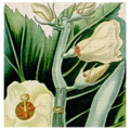 Cropped Turpin Tropicals III