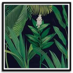 Shop Art \ Shop Artwork \ Shop Tropical Art \ Shop Wall Art \ Shop Tropical Art Prints \ Shop Framed Artwork \ Shop Painting \ Shop Tropical Paintings \ Shop Wall Decor \ Shop Decorative Art \ Nature Art Prints \ Multicolor Wall Art \ Colorful Artwork \ Floral Art