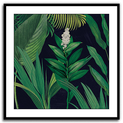 Shop Art \ Shop Artwork \ Shop Tropical Art \ Shop Wall Art \ Shop Tropical Art Prints \ Shop Framed Artwork \ Shop Painting \ Shop Tropical Paintings \ Shop Wall Decor \ Shop Decorative Art \ Nature Art Prints \ Multicolor Wall Art \ Colorful Artwork \ Floral Art