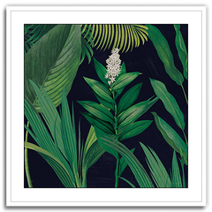 Shop Art \ Shop Artwork \ Shop Tropical Art \ Shop Wall Art \ Shop Tropical Art Prints \ Shop Framed Artwork \ Shop Painting \ Shop Tropical Paintings \ Shop Wall Decor \ Shop Decorative Art \ Nature Art Prints \ Multicolor Wall Art \ Colorful Artwork \ Floral Art