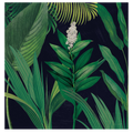 Dramatic Tropical I