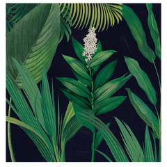 Shop Art \ Shop Artwork \ Shop Tropical Art \ Shop Wall Art \ Shop Tropical Art Prints \ Shop Framed Artwork \ Shop Painting \ Shop Tropical Paintings \ Shop Wall Decor \ Shop Decorative Art \ Nature Art Prints \ Multicolor Wall Art \ Colorful Artwork \ Floral Art