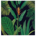 Dramatic Tropical II