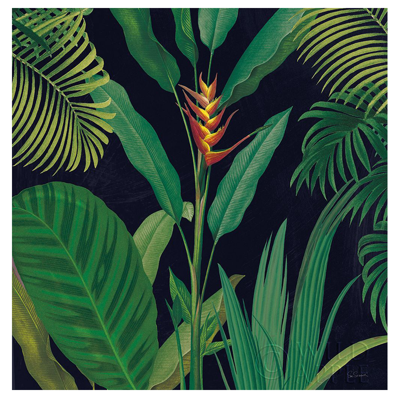 Shop Art \ Shop Artwork \ Shop Tropical Art \ Shop Wall Art \ Shop Tropical Art Prints \ Shop Framed Artwork \ Shop Painting \ Shop Tropical Paintings \ Shop Wall Decor \ Shop Decorative Art \ Nature Art Prints \ Multicolor Wall Art \ Colorful Artwork \ Floral Art