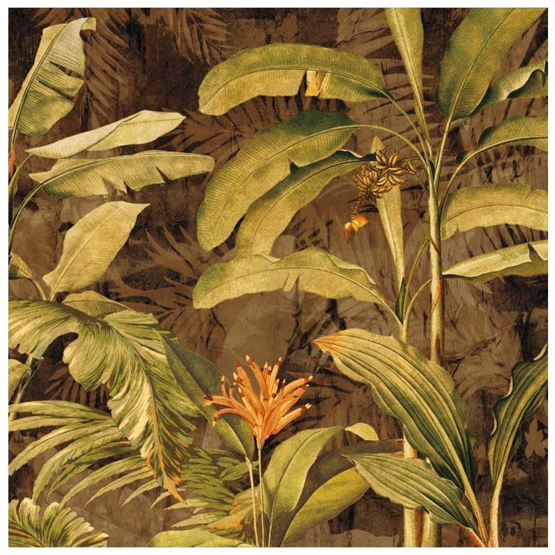 Shop Art \ Shop Artwork \ Shop Tropical Art \ Shop Wall Art \ Shop Tropical Art Prints \ Shop Framed Artwork \ Shop Painting \ Shop Tropical Paintings \ Shop Wall Decor \ Shop Decorative Art \ Nature Art Prints \ Multicolor Wall Art \ Colorful Artwork \ Floral Art