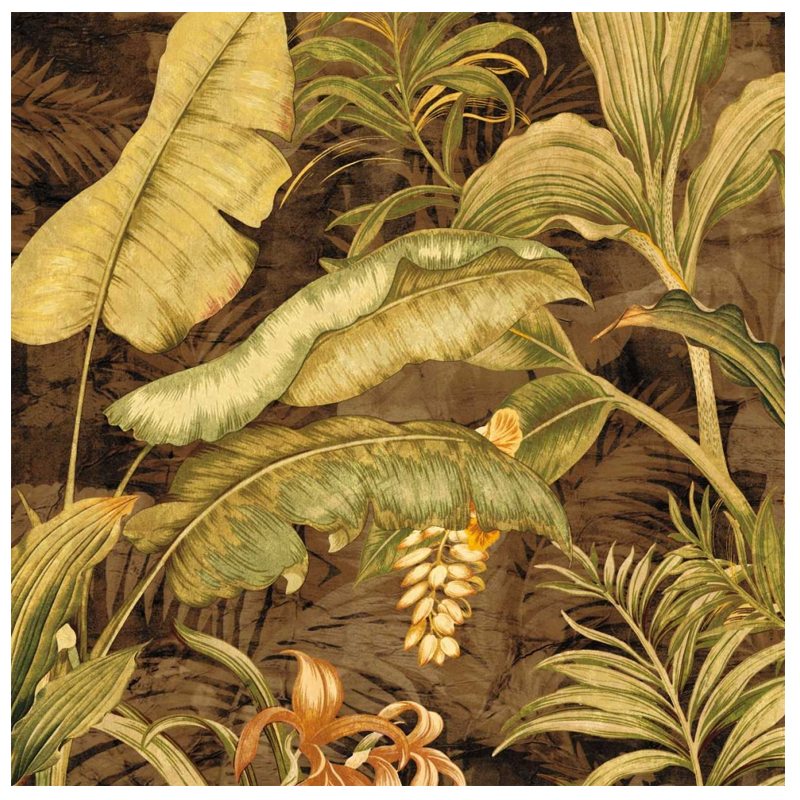 Shop Art \ Shop Artwork \ Shop Tropical Art \ Shop Wall Art \ Shop Tropical Art Prints \ Shop Framed Artwork \ Shop Painting \ Shop Tropical Paintings \ Shop Wall Decor \ Shop Decorative Art \ Nature Art Prints \ Multicolor Wall Art \ Colorful Artwork \ Floral Art