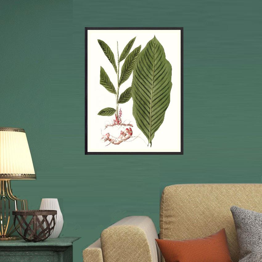 Shop Art \ Shop Artwork \ Shop Wall Art \ Shop Art Prints \ Shop Framed Artwork \ Shop Painting \ Shop Tropical Art \ Shop Modern Tropical Art \ Shop Botanical Paintings \ Shop Wall Decor \ Decorative Art \ Tropical Art Prints \ Multicolour Wall Art