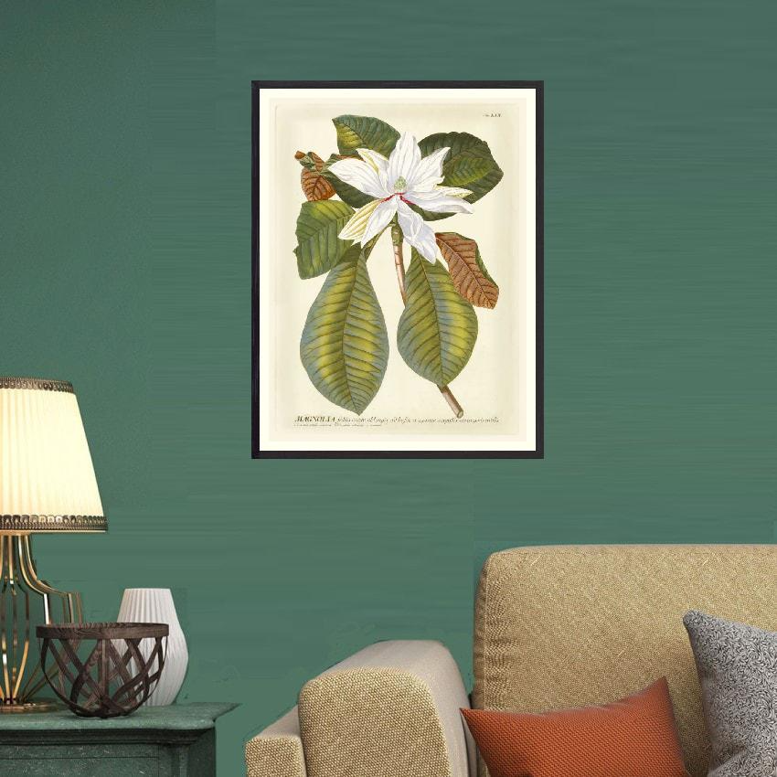 Shop Art \ Shop Artwork \ Shop Wall Art \ Shop Art Prints \ Shop Framed Artwork \ Shop Painting \ Shop Tropical Art \ Shop Modern Tropical Art \ Shop Botanical Paintings \ Shop Wall Decor \ Decorative Art \ Tropical Art Prints \ Multicolour Wall Art