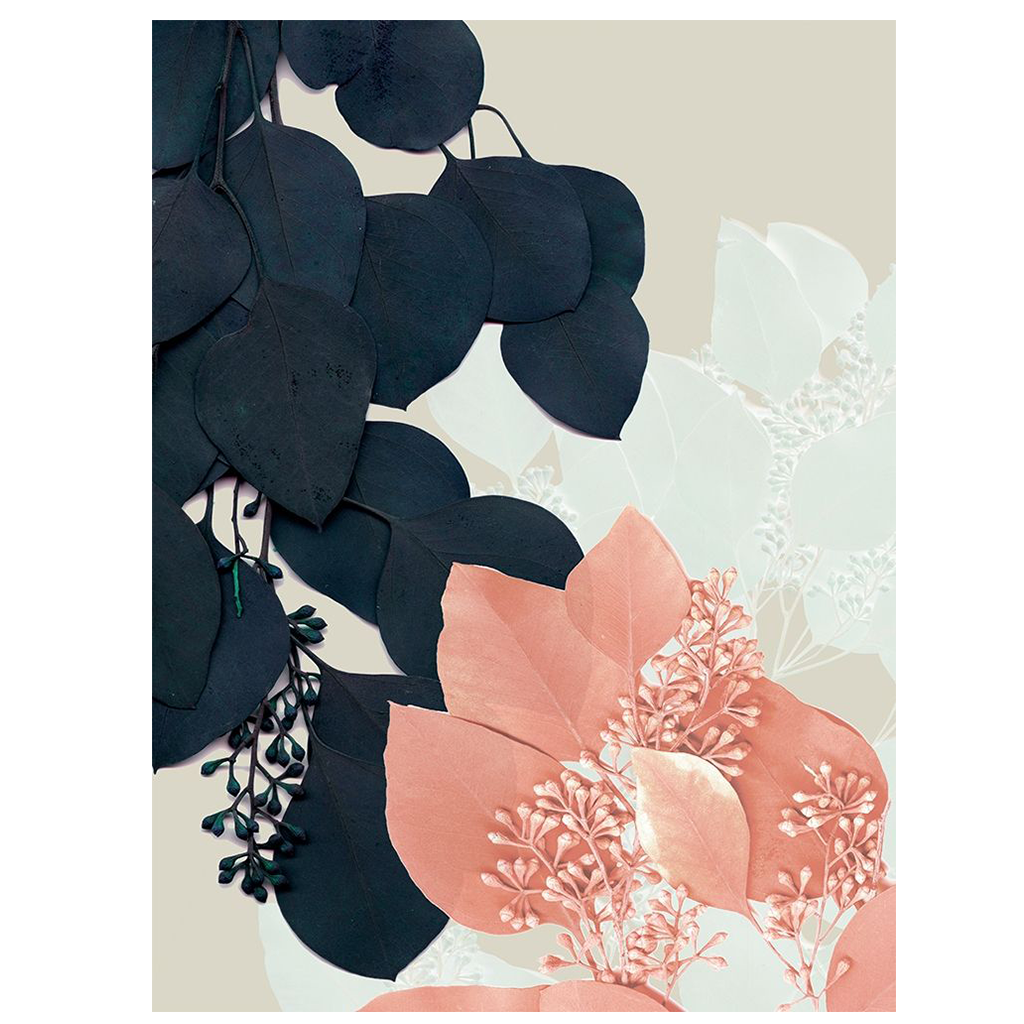Shop Art \ Shop Artwork \ Shop Wall Art \ Shop Nature Art \ Shop Botanical Art Prints \ Shop Framed Artwork \ Shop Painting \ Shop Modern Nature Artwork \ Shop Nature Paintings \ Shop Wall Decor \ Decorative Art \ Nature Art Prints \ Multicolor Wall Art