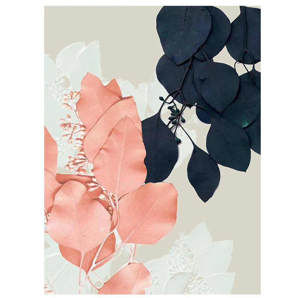 Shop Art \ Shop Artwork \ Shop Wall Art \ Shop Nature Art \ Shop Botanical Art Prints \ Shop Framed Artwork \ Shop Painting \ Shop Modern Nature Artwork \ Shop Nature Paintings \ Shop Wall Decor \ Decorative Art \ Nature Art Prints \ Multicolor Wall Art