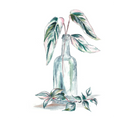 Island Tropics Frond in Bottle III