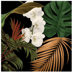 Shop Art \ Shop Artwork \ Shop Tropical Art \ Shop Wall Art \ Shop Tropical Art Prints \ Shop Framed Artwork \ Shop Painting \ Shop Tropical Paintings \ Shop Wall Decor \ Shop Decorative Art \ Nature Art Prints \ Multicolour Wall Art