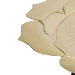 Furniture / Table / Side Table / Drink Table / Accent Table / Coffee Table / Home Furniture / House Furniture / Home Design / Shop coffee table / Shop center table / Coffee Table designs