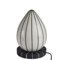 Elliptical Lamp
