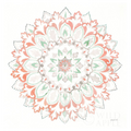 Mandala Delight II