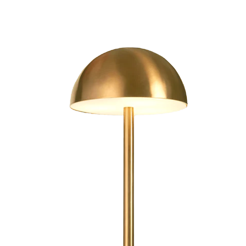 Mushroom floor lamp\ Floor light\ Office light \ Bedroom light\ Study light\ Stainless steel