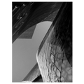 Ode to Gehry 7