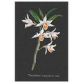 Orchid Slate 4