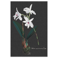 Orchid Slate 5