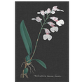 Orchid Slate 6