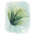 Paradise Palm Leaves II