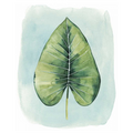 Paradise Palm Leaves III