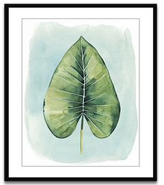 Shop Art \ Shop Artwork \ Shop Tropical Art \ Shop Wall Art \ Shop Tropical Art Prints \ Shop Framed Artwork \ Shop Painting \ Shop Tropical Paintings \ Shop Wall Decor \ Shop Decorative Art \ Nature Art Prints \ Multicolor Wall Art \ Colorful Artwork \ Floral Art