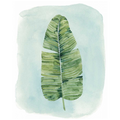 Paradise Palm Leaves IV