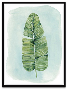Shop Art \ Shop Artwork \ Shop Tropical Art \ Shop Wall Art \ Shop Tropical Art Prints \ Shop Framed Artwork \ Shop Painting \ Shop Tropical Paintings \ Shop Wall Decor \ Shop Decorative Art \ Nature Art Prints \ Multicolor Wall Art \ Colorful Artwork \ Floral Art