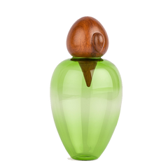 Close view of Chirp Parrot Glass Jar with wooden lid in beak design